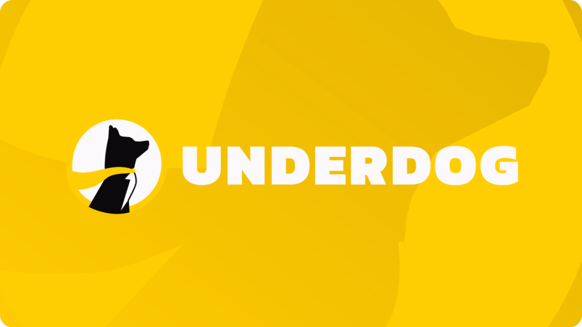 “Underdog in Sports Betting – Explained in Details”