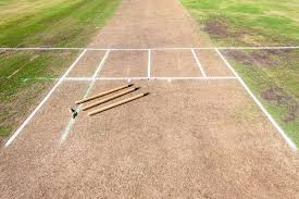 https://www.cricketforall.com.au/cdn/shop/articles/inpsecting-a-cricket-pitch.jpg?v=1723696793
